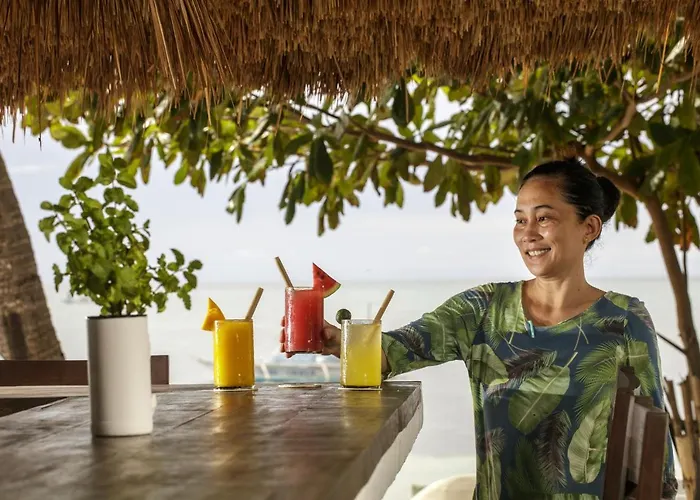 Resort Ocean Vida And Dive