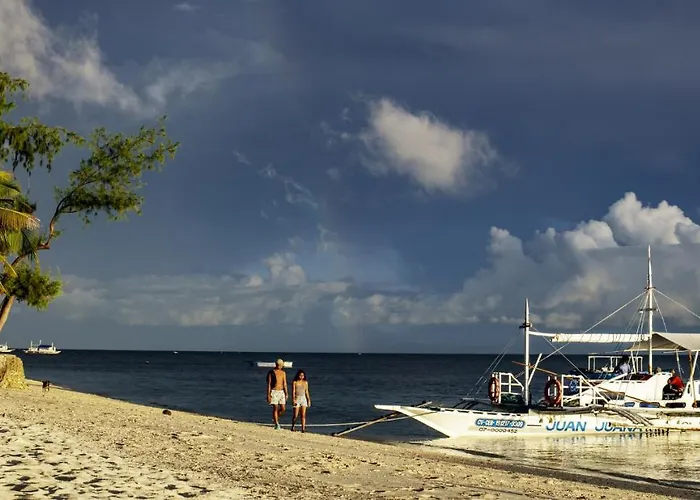 Ocean Vida And Dive