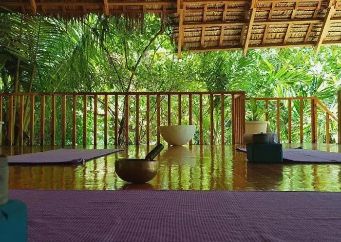 Resort Ocean Vida And Dive
