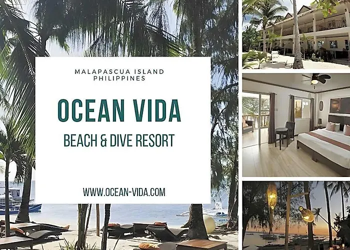 Ocean Vida And Dive