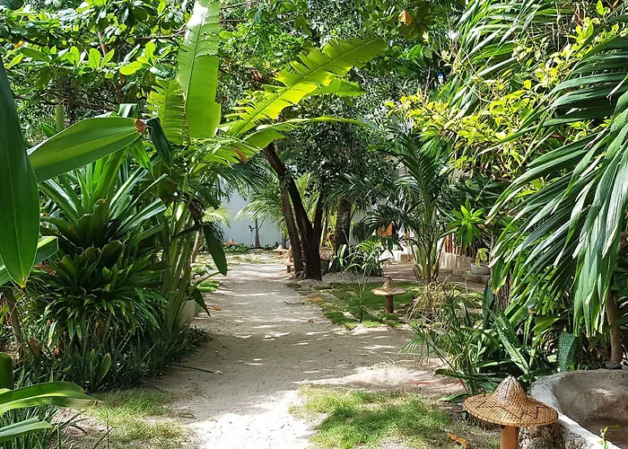 Ocean Vida And Dive Resort Malapascua